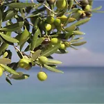 Casa Giada Sul Mare 3* Torrenova (Sicily)