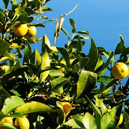 فندق مبيت وإفطار Casa Giada Sul Mare Torrenova (Sicily)