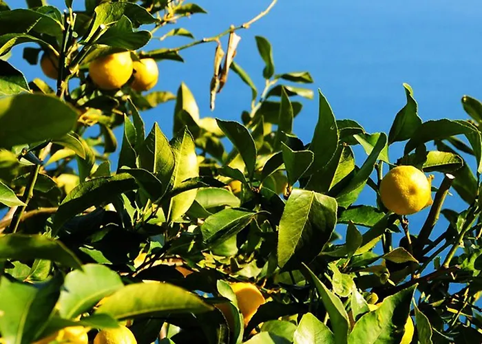 Bed & Breakfast Casa Giada Sul Mare Torrenova (Sicily)
